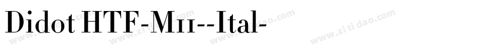 Didot HTF-M11--Ital字体转换